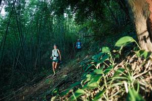 BIB: 
                            <button type="button" onclick="openModal(28123989)" class="btn btn-primary btn-sm float-right btn-popup" data-toggle="modal" data-target=".modal-high-quality">
                        <i class="fas fa-shopping-cart"></i> Add to Cart
                    </button>
                                            <button type="button" onclick="isThisMe(28123989, true)" class="btn btn-success btn-sm float-right btn-popup btn-isme hidden" data-toggle="tooltip" data-placement="bottom" title="นี่คือรูปของคุณใช่ไหม คลิกที่นี่เพื่อเอาเข้าอัลบั้ม">
                        <i class="fas fa-plus"></i> Add to album
                    </button>
                    <button type="button" onclick="isThisMe(28123989, false)" class="btn btn-warning btn-sm float-right btn-popup btn-isnotme hidden">
                        <i class="fas fa-ban"></i> Remove from album
                    </button>